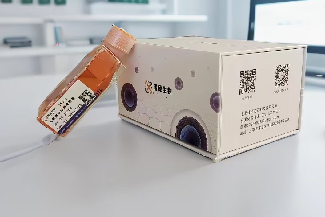  小鼠小细胞肺癌细胞SCLC-1 non-SMC（种属鉴定）